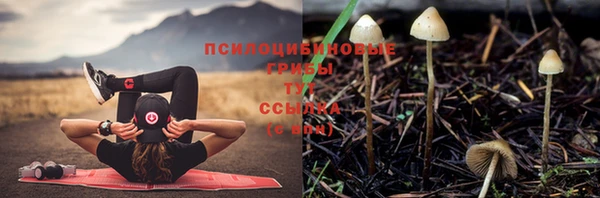 меф Богданович