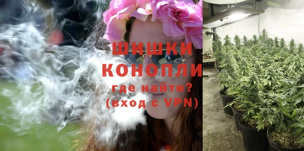 шишки Бугульма