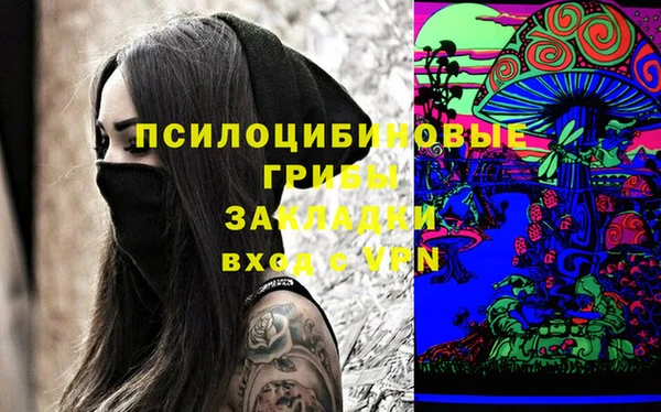 кокс Бородино